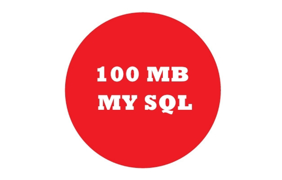 Picture of 100 MB MySQL (1 year)