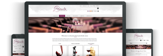 Picture of ALICANTE E-COMMERCE PACKAGE