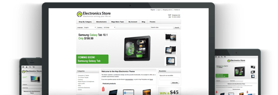 Picture of ELECTRONICS E-COMMERCE PACKAGE