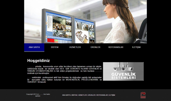 Picture of SECURITY SYSTEMS WEBSITE