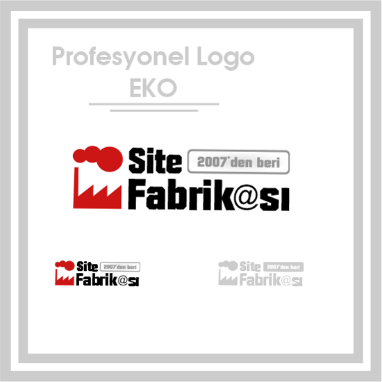 Profesyonel Logo Design Eko Paketi resmi