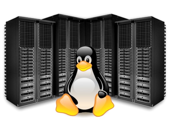 Picture of LINUX INDIVIDUAL START-UP