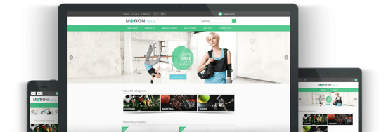 Picture of MOTION E-COMMERCE PACKAGE