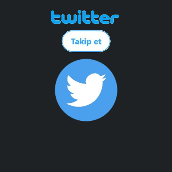 Picture of Twitter Takipçi (1000)