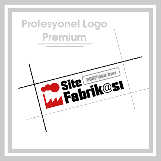 Profesyonel Premium Logo Paketi resmi