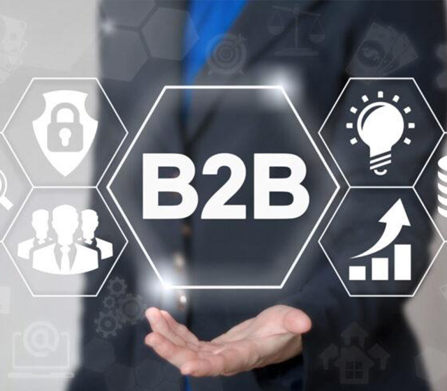 Özel B2B Yazılımı Nedir ?